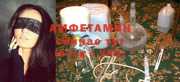 индика Новодвинск