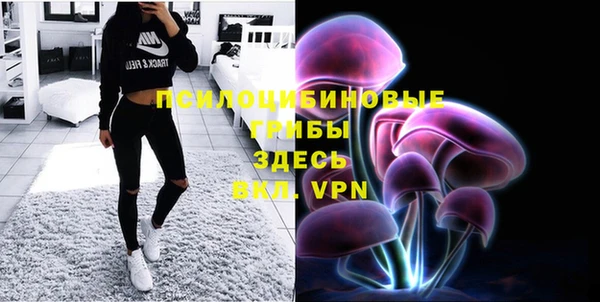 эйфоретик Новозыбков