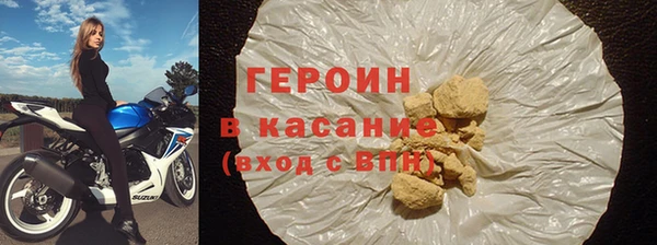 индика Новодвинск