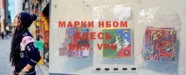 индика Новодвинск